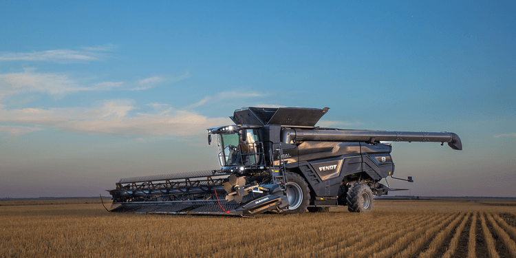 6 Questions with LDI Technology Specialist, Lindsey Sterkel