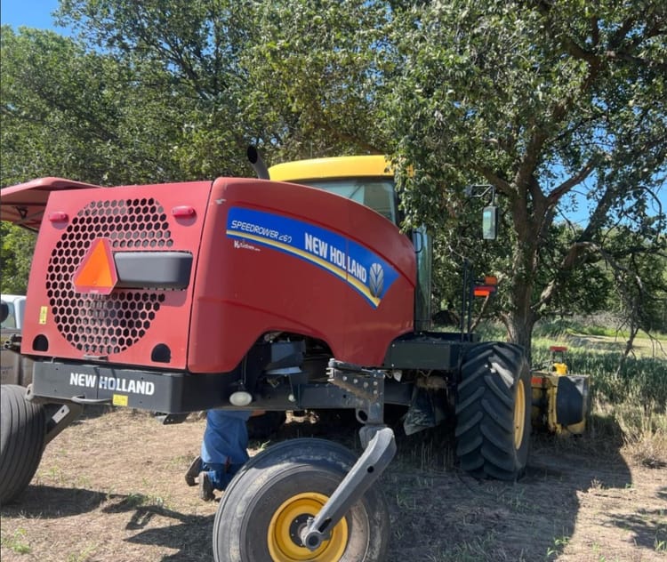 2016 NEW HOLLAND SPEEDROWER 260 WINDROWER