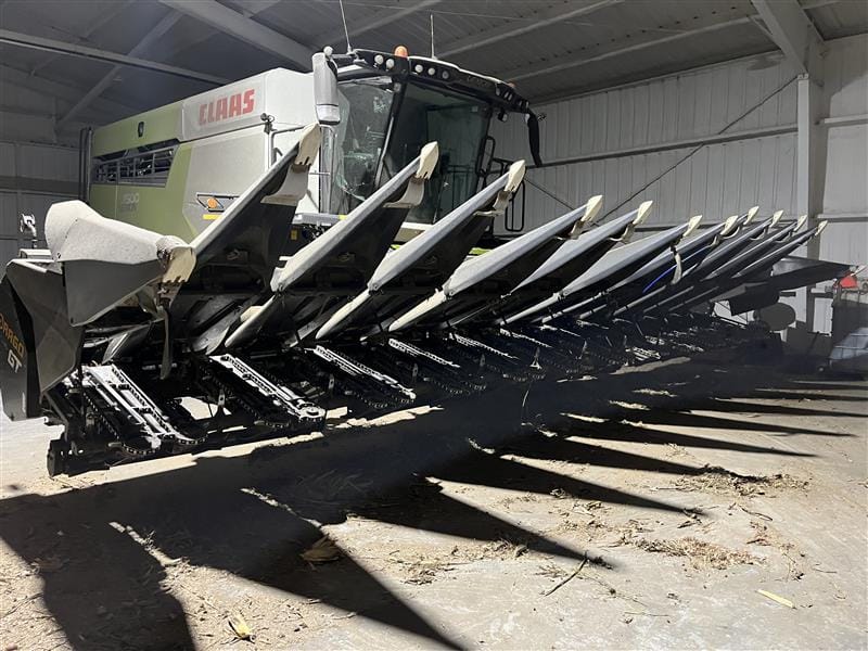 2022 OLIMAC DRAGO 1230GT CORN HEAD