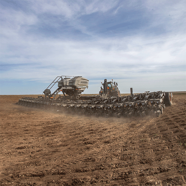 Massey Planters