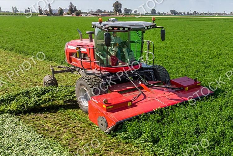 2025 MASSEY FERGUSON WR197 Windrower